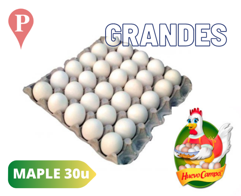 Huevos Blancos Grandes Huevo Campo Maple Carton